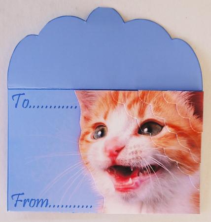 Fred the Cat Mini Money Wallet by Selina Dittmann