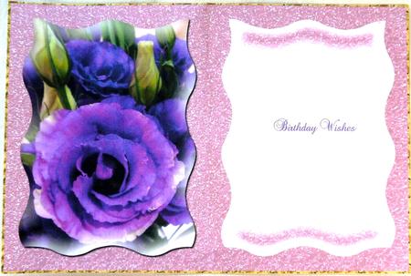 Purple-violet Flowers Various Occasions Cards Insert by Selina Dittmann