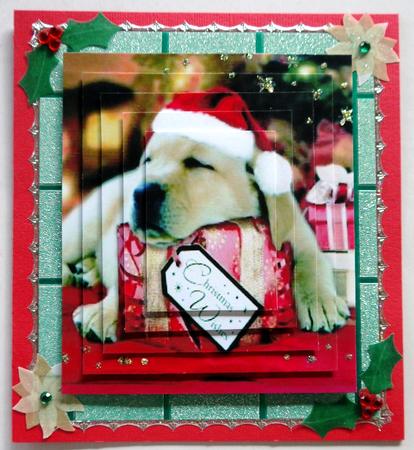 Cute Little Puppy with Santa Hat on Pyramids by Selina Dittmann