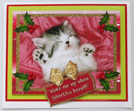 Wake Me Up When Santa's Been by Selina Dittmann