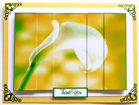 Simple Elegant Calla Lily Side Stacker by Selina Dittmann
