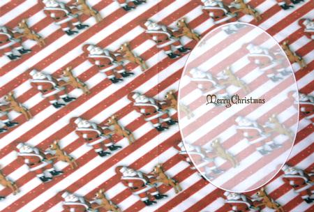 Rudolf and Santa Claus Insert by Selina Dittmann