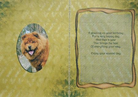 A Special Smile Just for You Matching Insert by Selina Dittmann