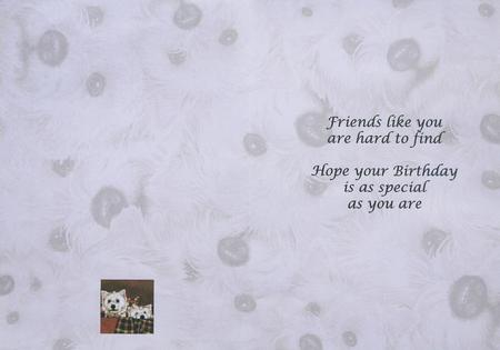 Good Friends Special Friend Insert 7 by 5 by Selina Dittmann