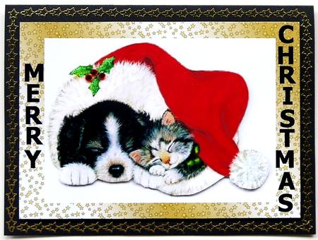 Cat and Dog Cosying Up Together by Selina Dittmann