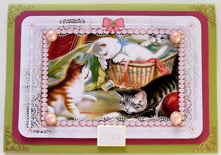 Cats Lace and Pearls by Selina Dittmann