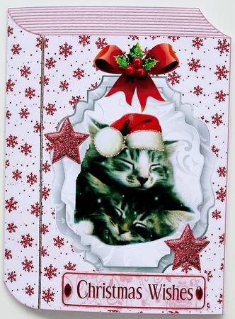 Cute Pair of Kitties Sleeping, Folded Book by Selina Dittmann