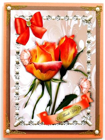 Peach Roses in a Pretty Pearl Frame A4 by Selina Dittmann