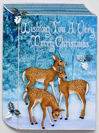 Cute Deer Family in a Snow Scene Folded Book by Selina Dittmann
