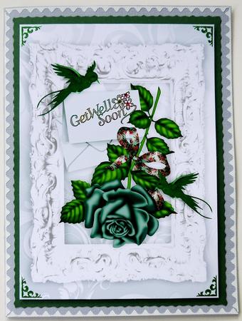 Beautiful Jade Rose with Envelope in Silver Baroque Frame A4 by Selina Dittmann