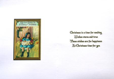 Christmas Toys Insert by Selina Dittmann