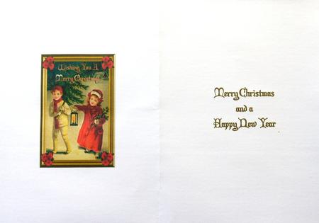 Poinsettia Christmas Insert by Selina Dittmann