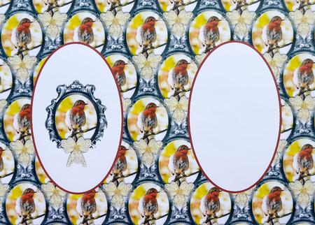 Robin Red Breast Insert Blank by Selina Dittmann