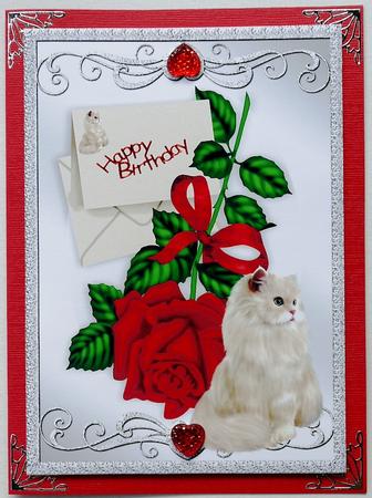 Christmas Red Rose with Fluffy Cat A4 by Selina Dittmann