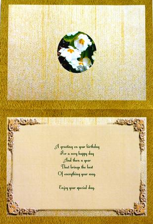 Primroses Insert by Selina Dittmann