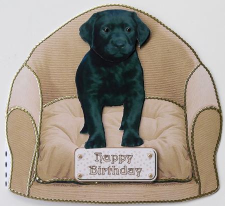 Black Labrador Puppy on a Chair by Selina Dittmann
