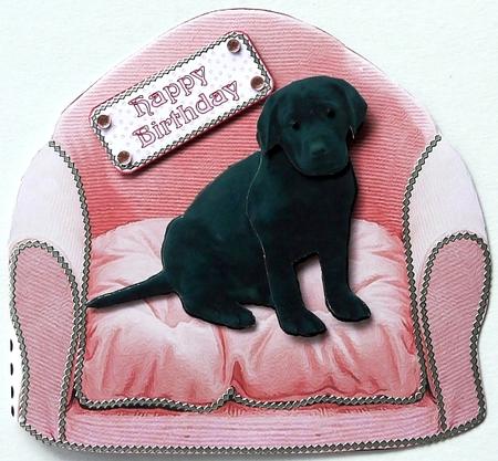 Black Labrador Puppy in a Pink Chair by Selina Dittmann