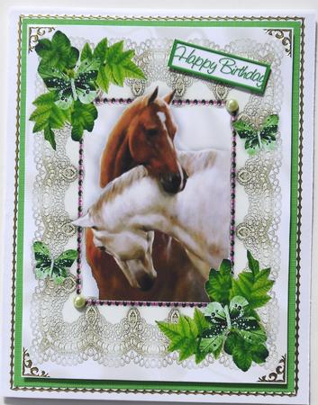 Beautiful Horses Heads Entwined in Lace Frame A4 by Selina Dittmann