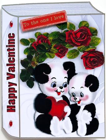 Adorable Little Pandas with Heart Folded Book by Selina Dittmann