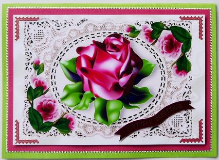 Single Red Rose on Ecru Lace A4 by Selina Dittmann