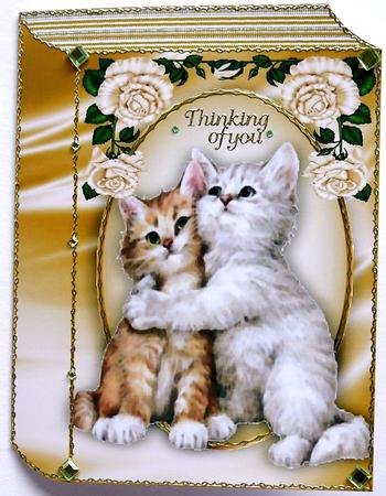 Folded Book with Cuddling Kittens with Roses by Selina Dittmann