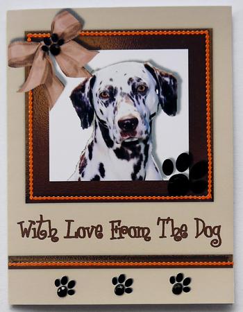 Love from the Dog Number 2 by Selina Dittmann