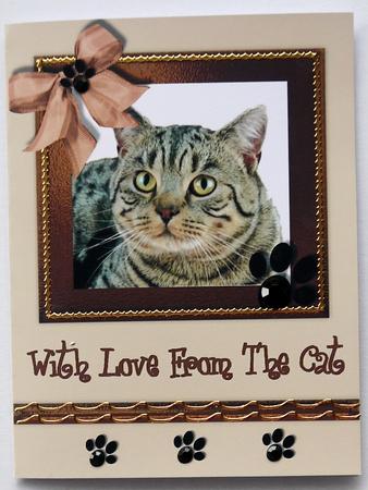 With Love from the Cat Quick Card by Selina Dittmann