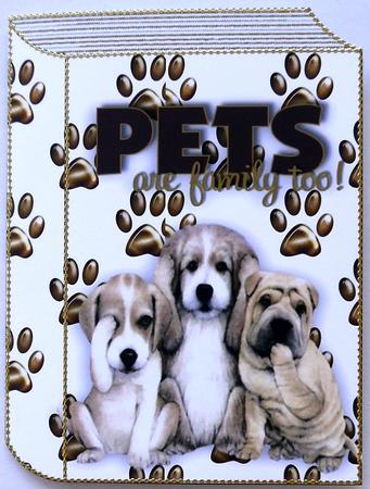 Pets Are Family To, the Three Wise Dogs Folded Book by Selina Dittmann