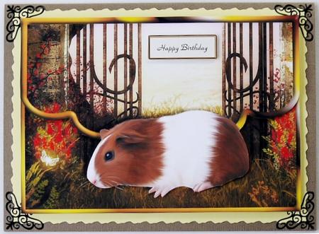 Guinea Pig Fancy Edge Faux Envelope Card by Selina Dittmann