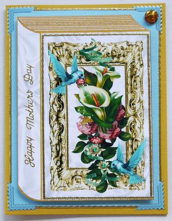 Humming Birds with Flowers and Lily A4 Book by Selina Dittmann