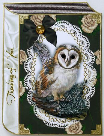 Gorgeous Owl on a Branch with Cream Roses Folded Book by Selina Dittmann
