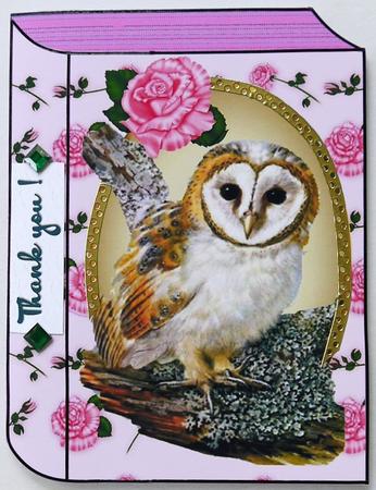Cute Owl on a Branch with Pink Roses Folded Book by Selina Dittmann