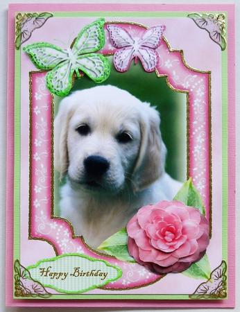 Puppy and Butterflies by Selina Dittmann