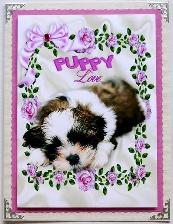 Puppy Love! Cute Little Puppy in Roses Frame A4 by Selina Dittmann