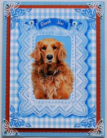 Golden Retriever in Blue Gingham Frame A4 by Selina Dittmann