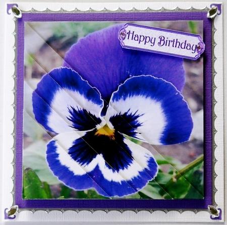 Blue Pansy Triangle Corner Stacker by Selina Dittmann