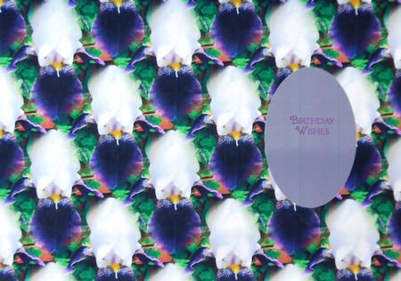 Bearded Iris Insert by Selina Dittmann