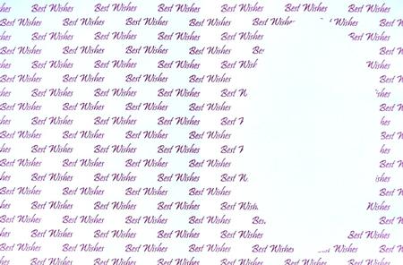 Best Wishes Dark Pink Insert by Selina Dittmann