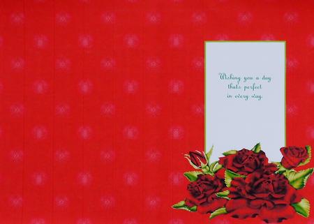 Rose Insert by Selina Dittmann