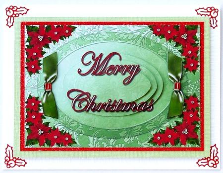 Poinsettia and Bows by Selina Dittmann