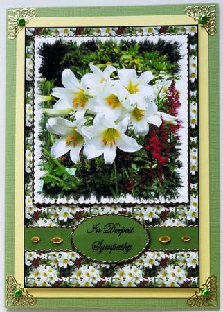 Lilies Sympathy or Get Well by Selina Dittmann