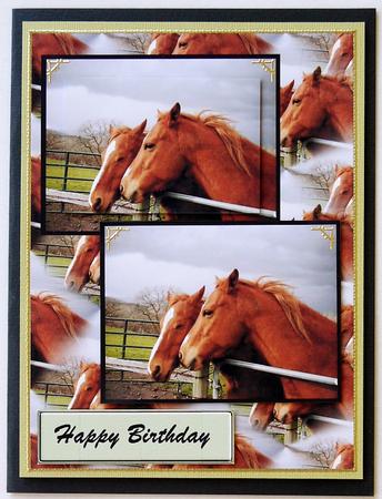 Two Brown Horses by Selina Dittmann