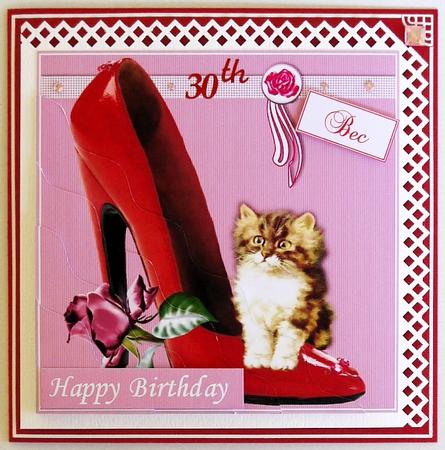 The Cat and the Shoe by Selina Dittmann