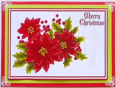 Red Poinsettias and Holly by Selina Dittmann
