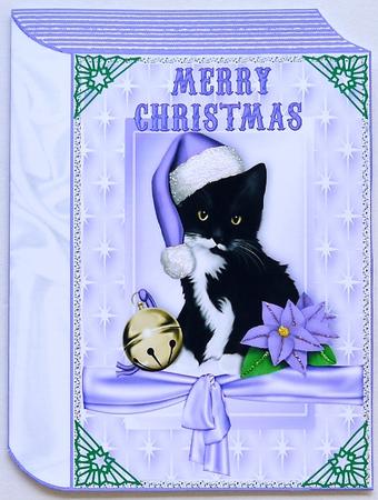 Cute Kitty in Santa Hat in Star Frame Folded Book by Selina Dittmann