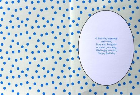 Baby Blue Spotty Insert 2 by Selina Dittmann