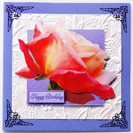 Simple Rose 1 by Selina Dittmann