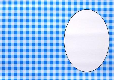 Blue Check Insert by Selina Dittmann