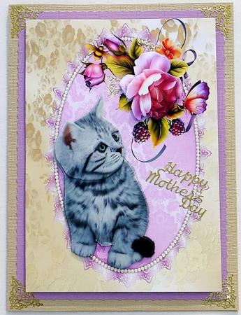 Gorgeous Grey Kitten with English Roses by Selina Dittmann