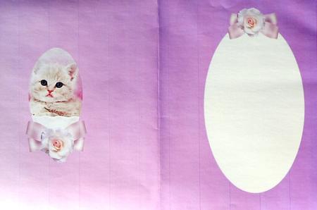 Kitty Rose Insert by Selina Dittmann
